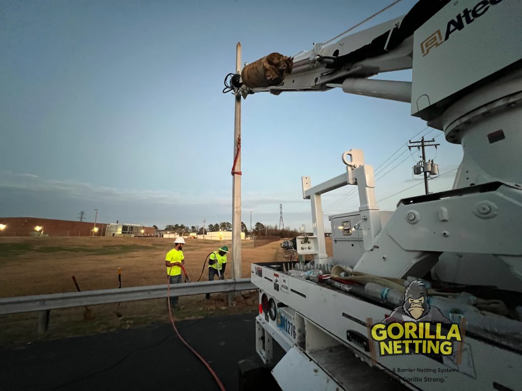 Lighting pole installation.